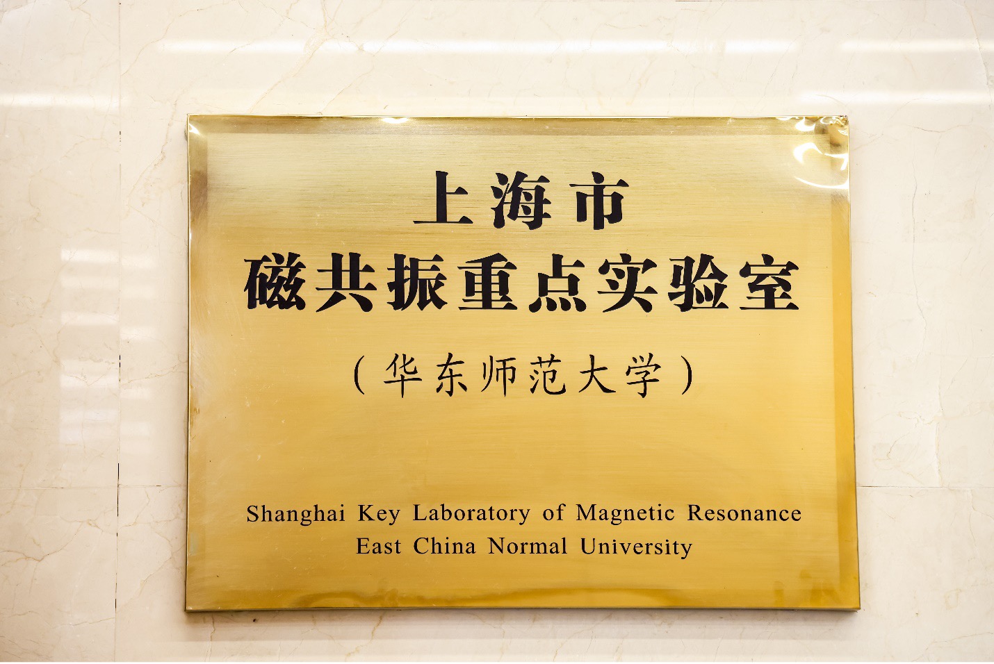 布鲁克2.jpg 布鲁克2.jpg