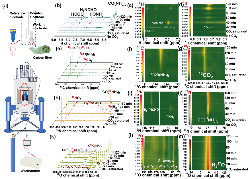 Picture3.png Picture3.png