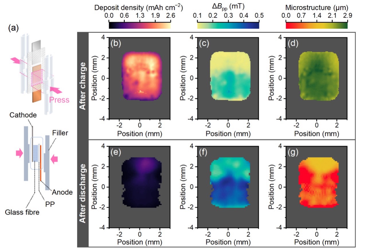 Picture5.jpg Picture5.jpg