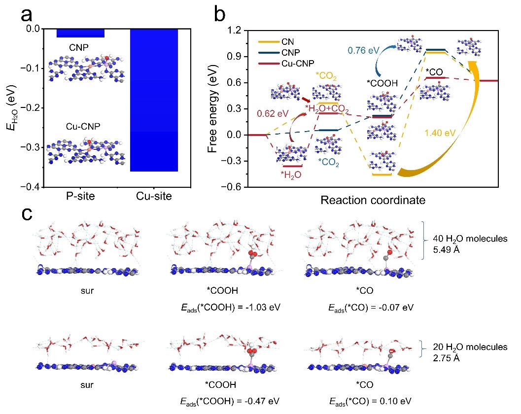 Picture5.jpg Picture5.jpg