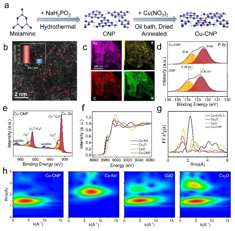 Picture2.jpg Picture2.jpg